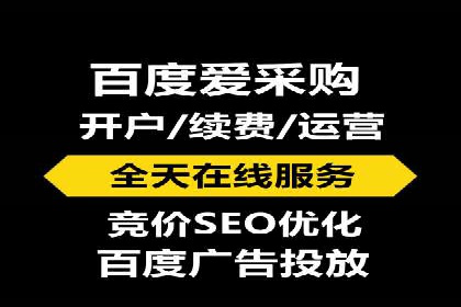 成功SEM服务案例：优化广告投放